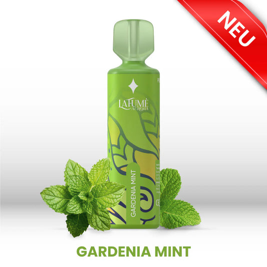 Aurora - Gardenia Mint